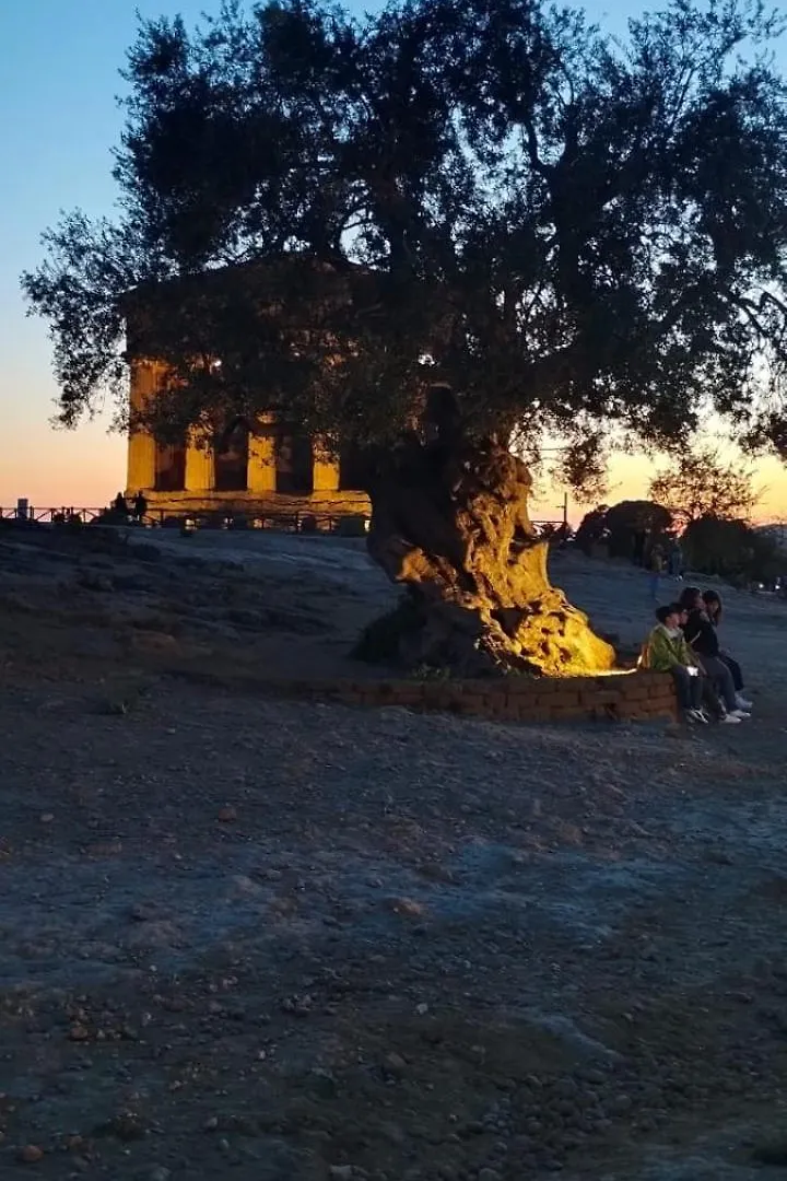 Appartamento La Casa del Sole Porto Empedocle